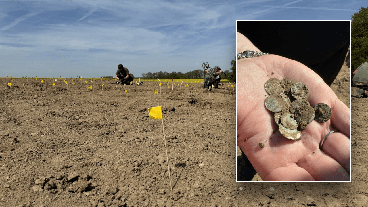 Woman out for a walk stumbles upon once in a decade discovery