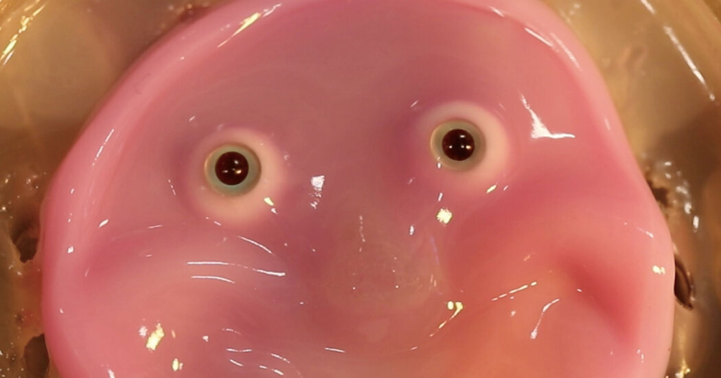 Scientists in Japan Give Robots a Fleshy Face and a Smile