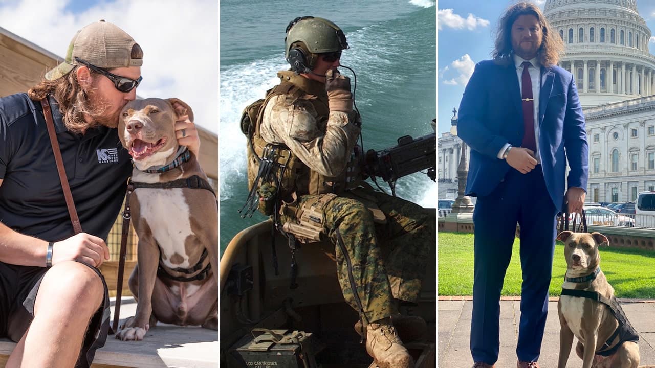 Veterans with PTSD get ‘significant’ benefits from service dogs, first NIH-funded study finds