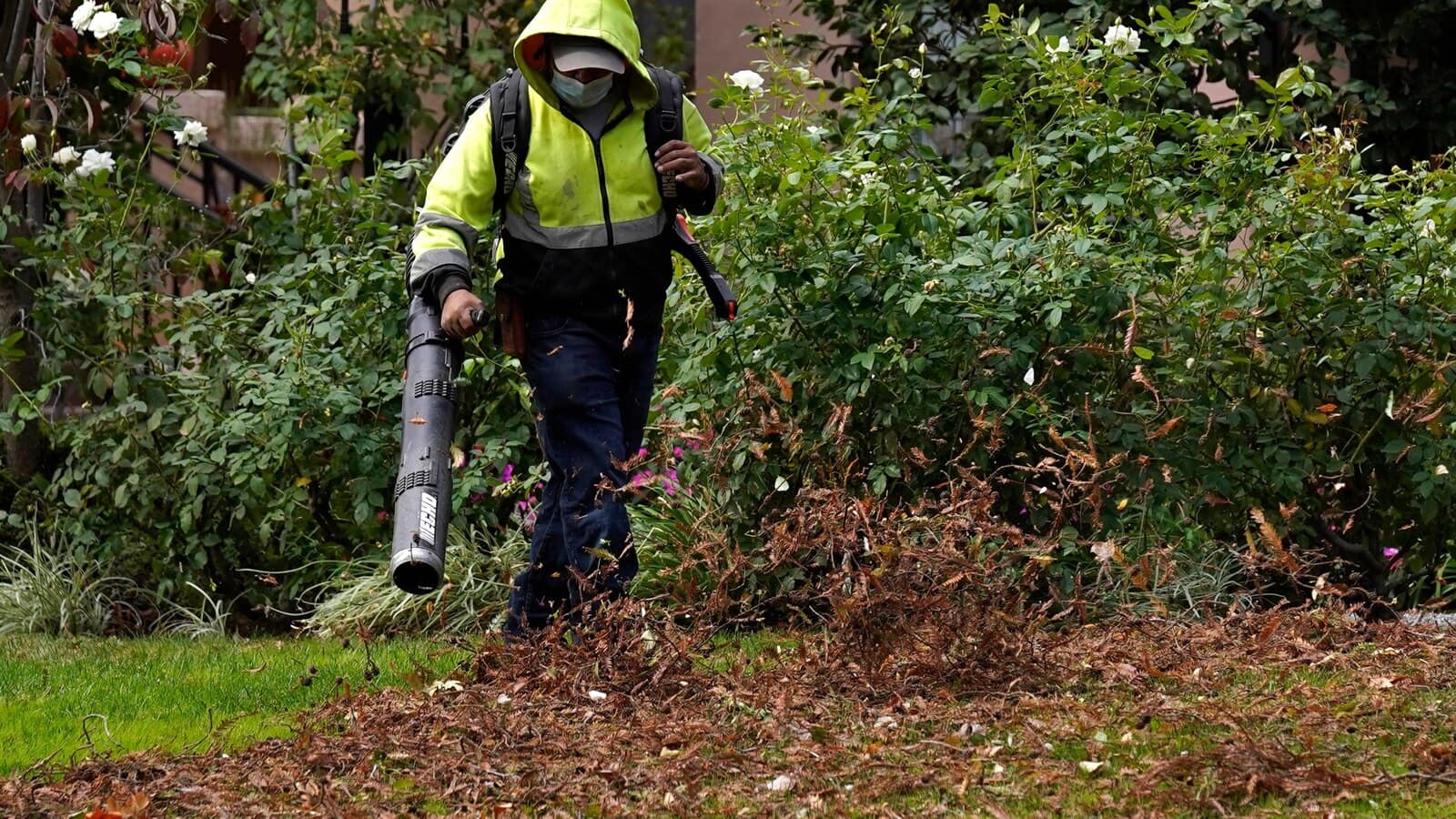 The problem with leaf blowers, and what you can do instead