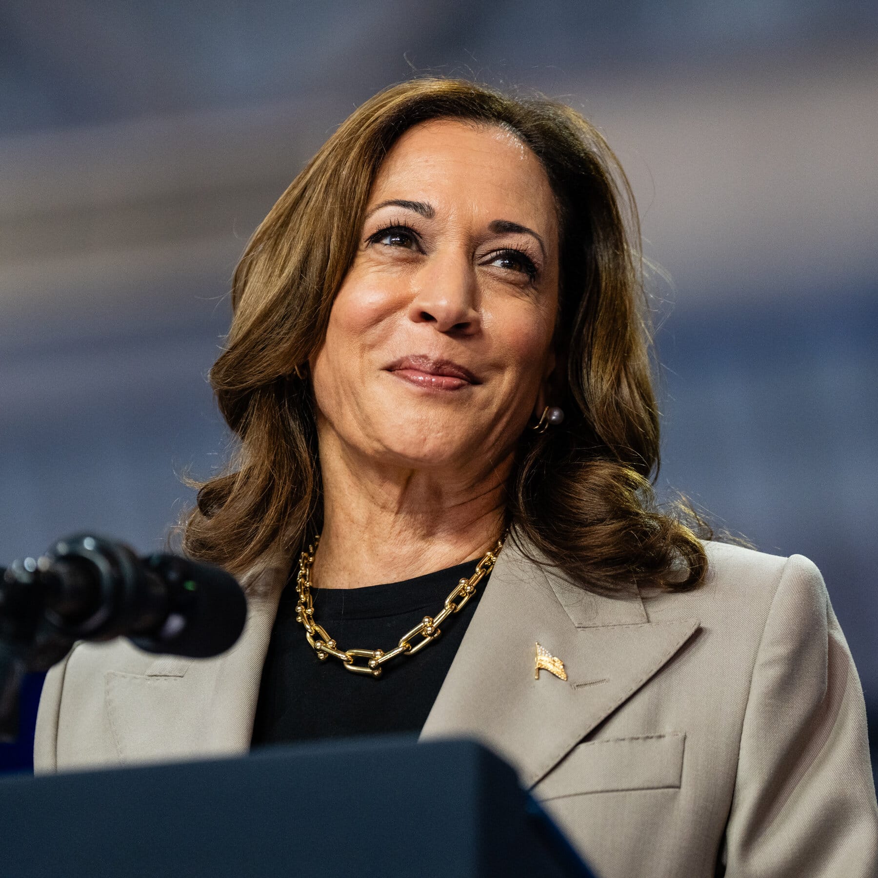 Harris Campaign Reserves 0 Million for Swing-State Fall Ad Blitz