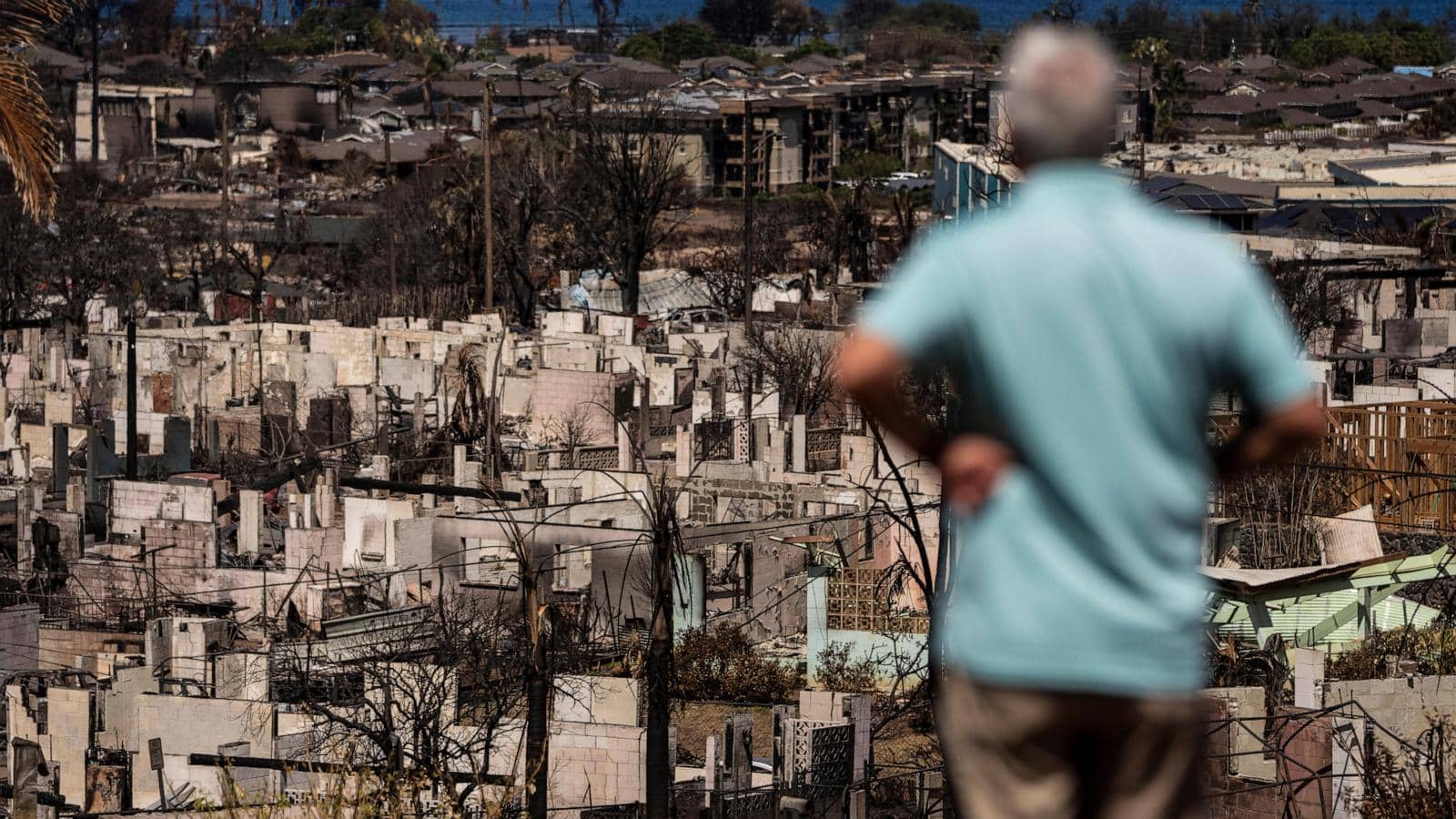 Hawaii study shows almost 75% of Maui wildfire survey participants have respiratory issues