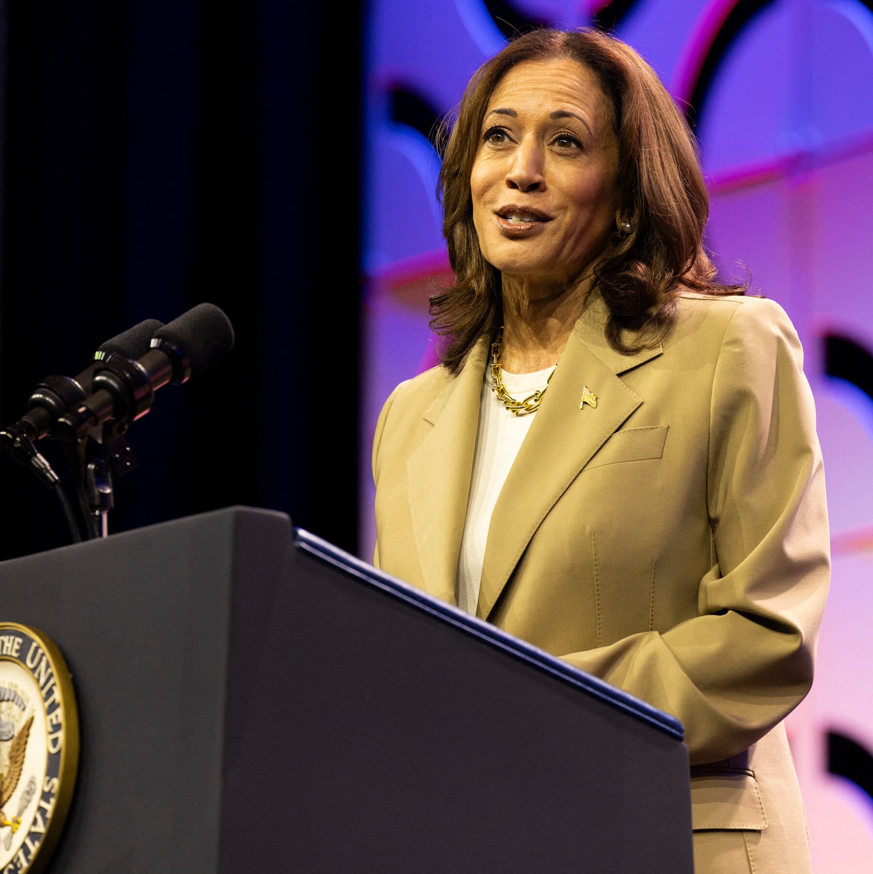 Harris Outdoes Biden in 2 State Polls but Has Her Own Weaknesses