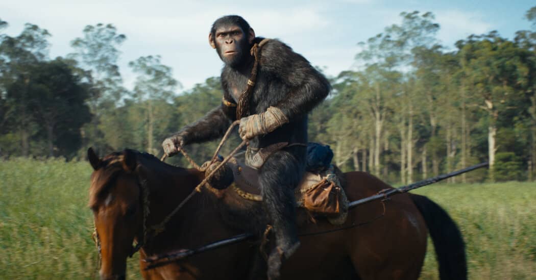 What to Know Before Seeing ‘Kingdom of the Planet of the Apes’