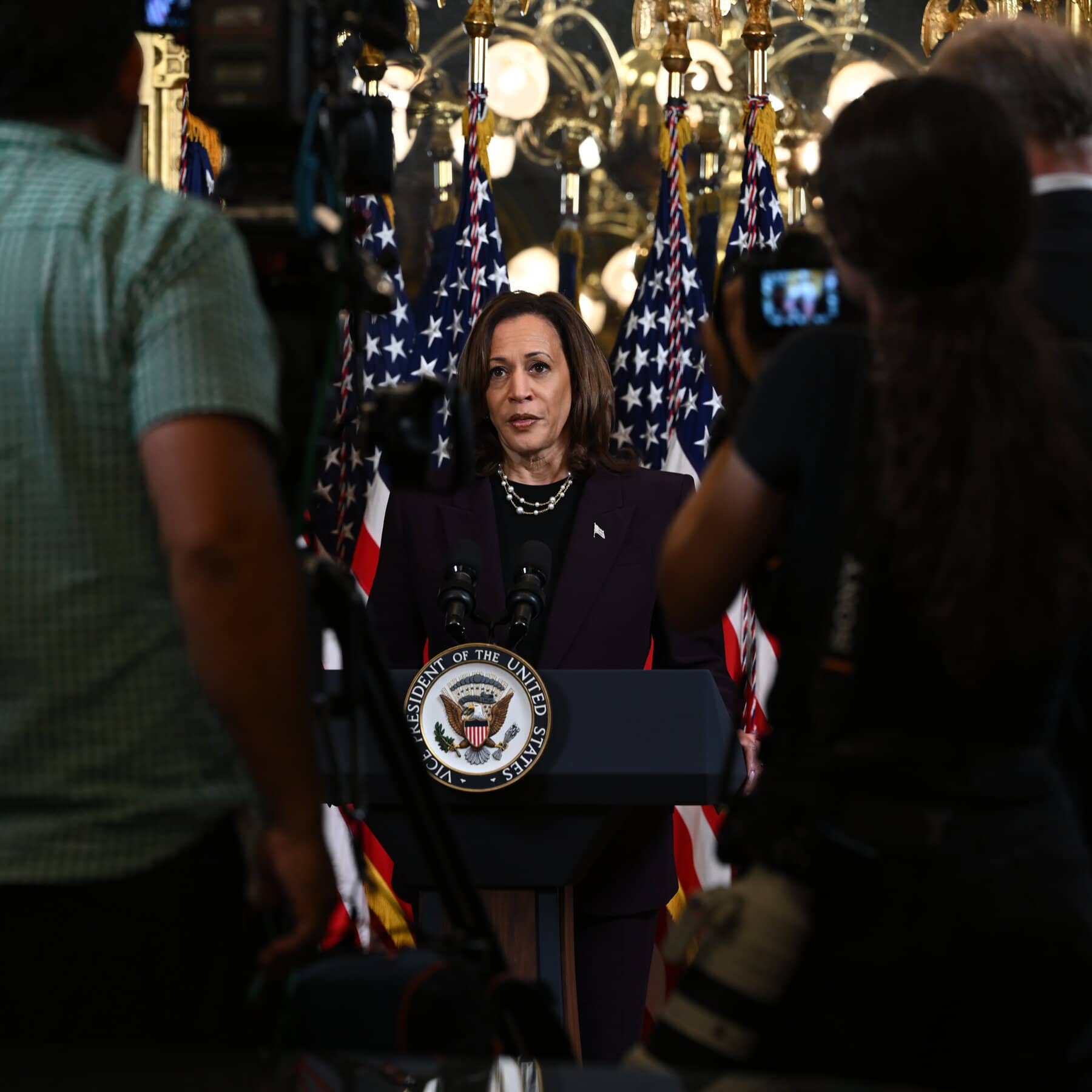 Silent No More, Harris Seeks Her Own Voice Without Breaking With Biden