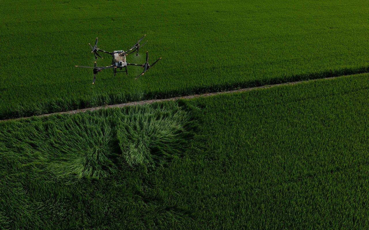 Vietnam implements new rice farming techniques in effort to mitigate methane emissions