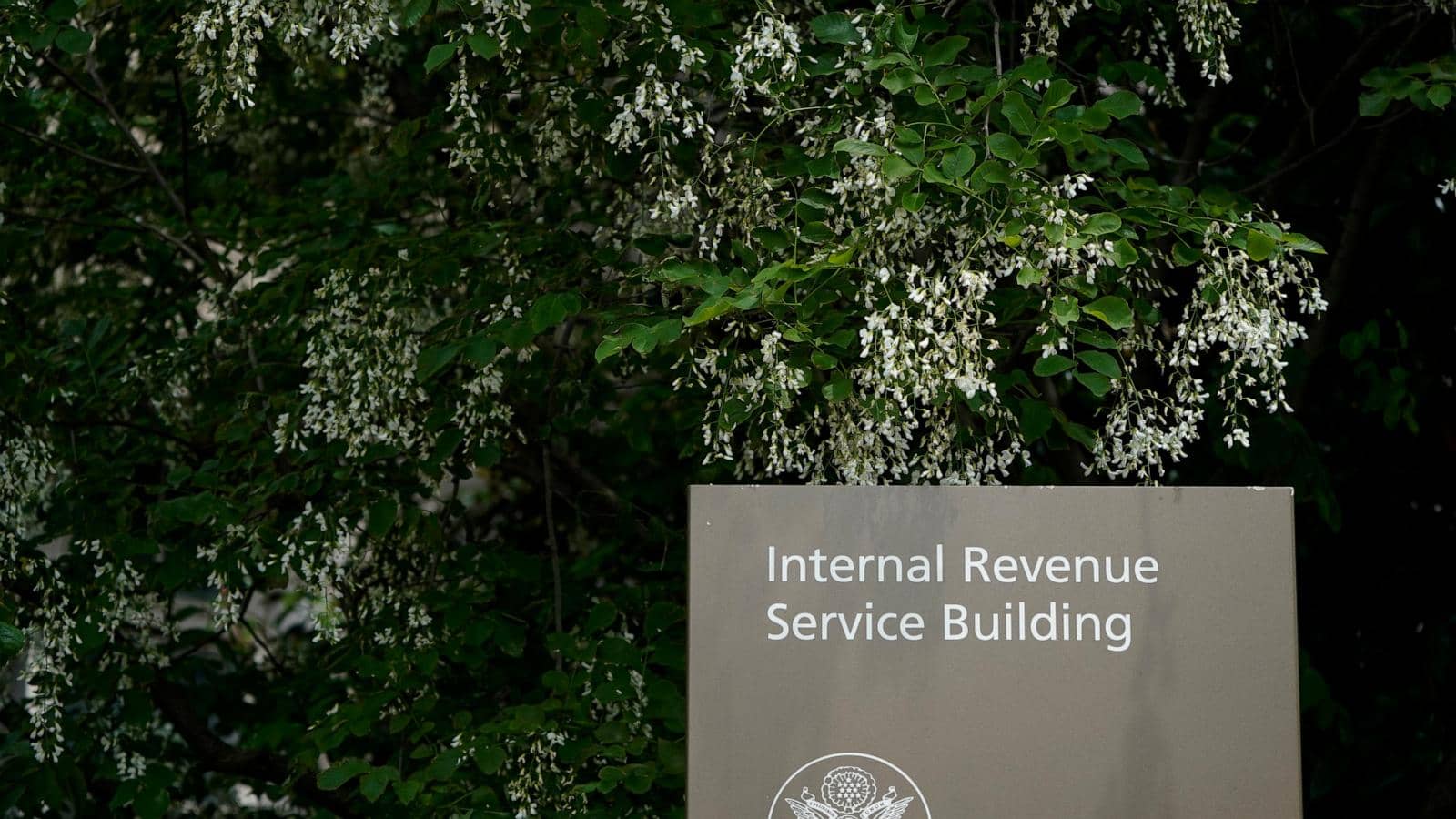 IRS collects milestone  billion in back taxes from high-wealth taxpayers