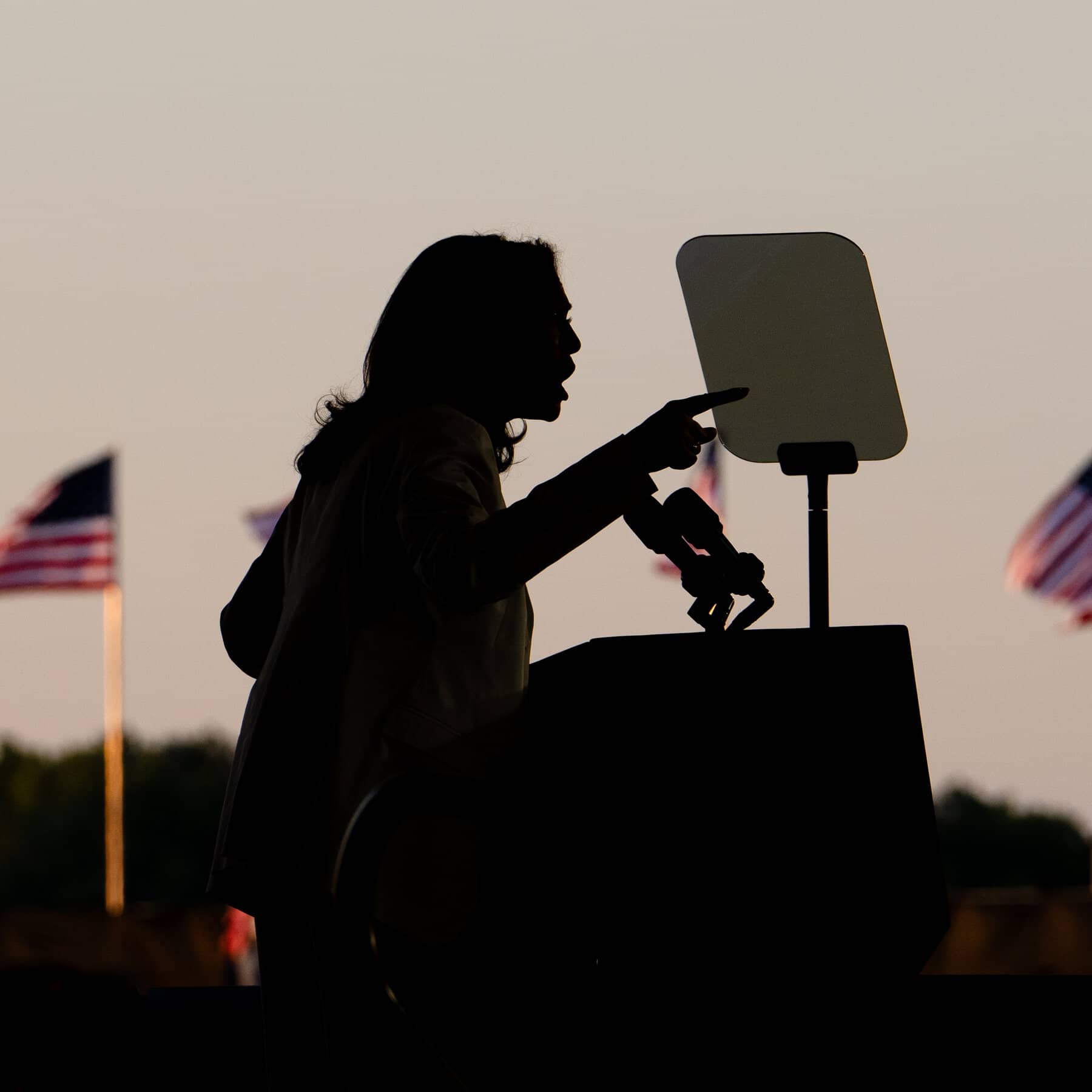 Kamala Harris Responds to Pro-Palestinian Protesters at Michigan Rally