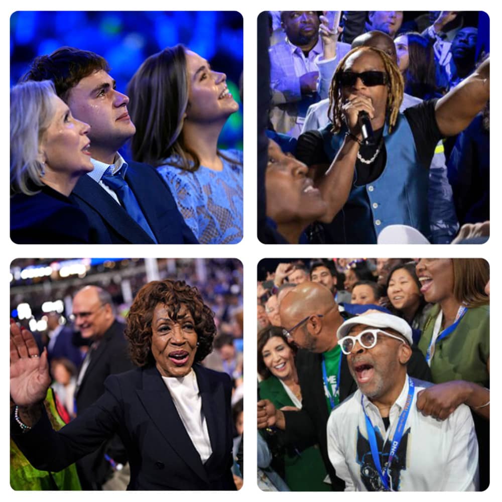 Celebrities and Notable Faces in the Crowd at the Democratic Convention