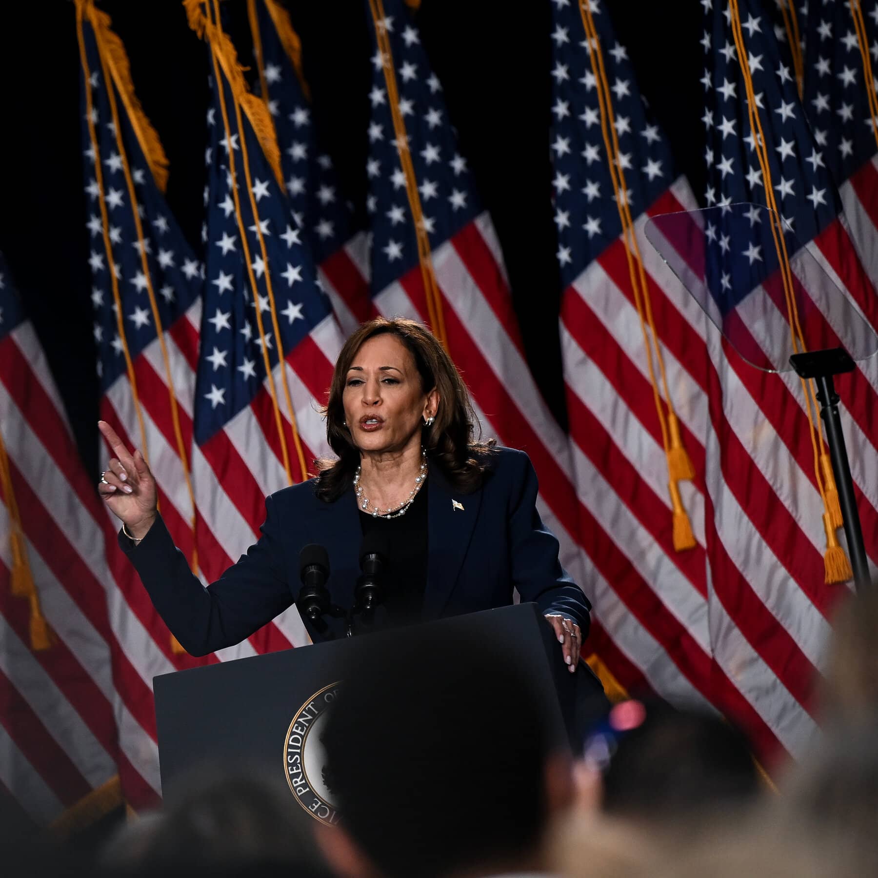What to Know About Kamala Harris’s Foreign Policy Positions