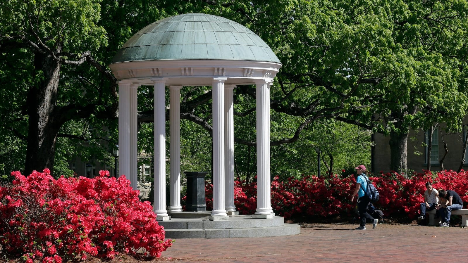 North Carolina university committee swiftly passes policy change that could cut diversity staff